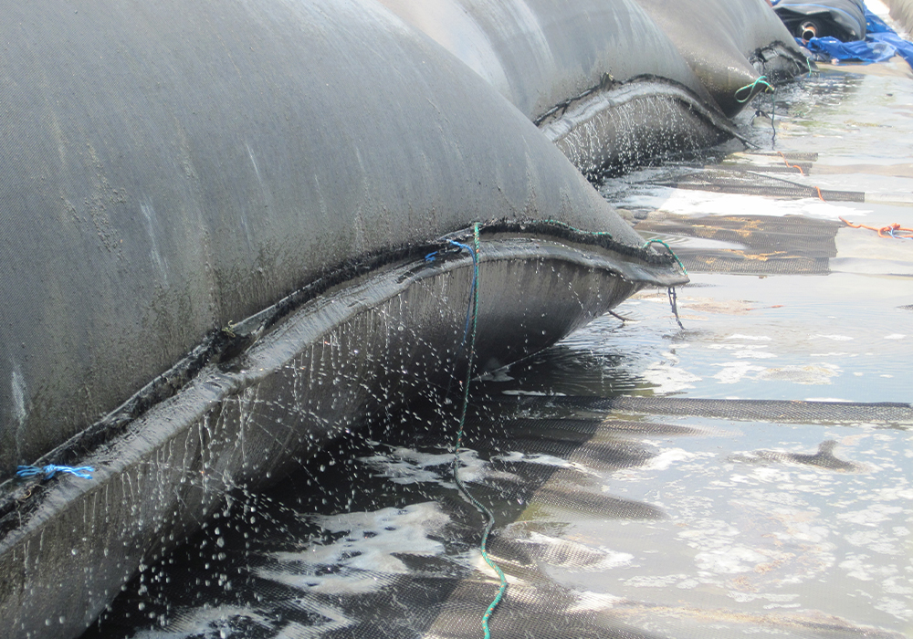 Sludge dewatering by means of Geotube®