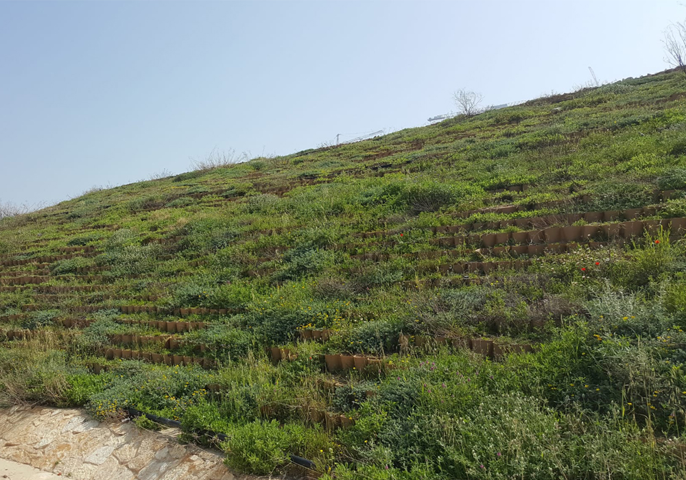 Green slopes by tough cells Neoloy and soil reinforcement